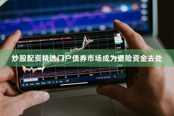 炒股配资精选门户债券市场成为避险资金去处
